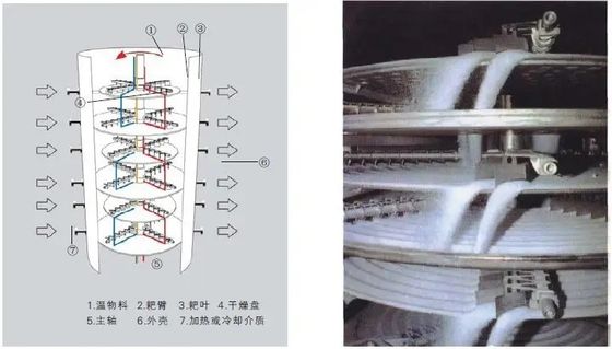 PLGシリーズ供給/肥料のためにカスタマイズされる連続的な箱形乾燥器の産業